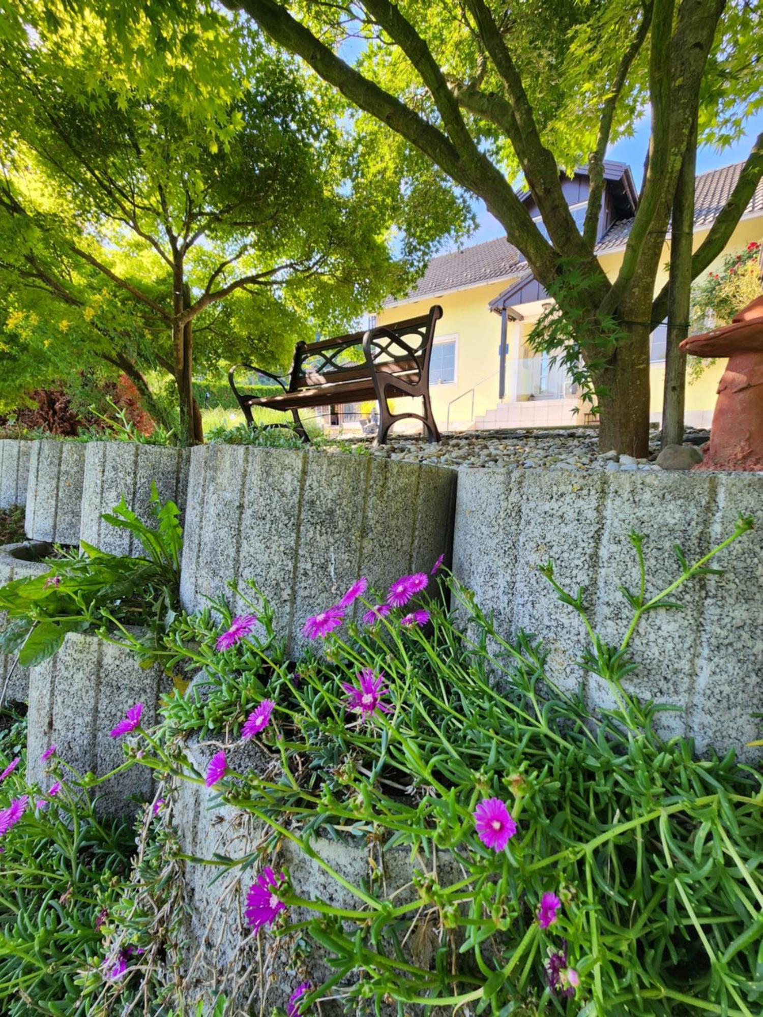 Villa Spa Magic Tuheljske Toplice Exteriér fotografie